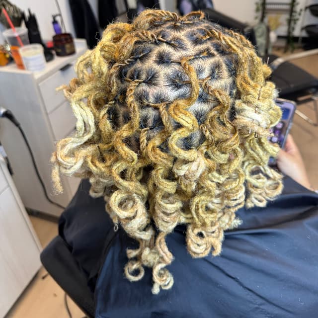 Luxury Loc Membership at The Luna Look in Surprise, AZ